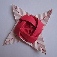 折纸玫瑰花的简单折法之折纸玫瑰花胸针视频威廉希尔中国官网
