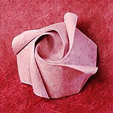 简单折纸玫瑰的折法之罗宾折纸玫瑰视频威廉希尔中国官网
