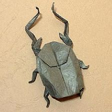 昆虫折纸大全之铁钩巨甲虫图纸威廉希尔中国官网
