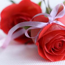 玫瑰花语之八朵玫瑰花代表感谢你的鼓励与支持【附漂亮的纸玫瑰花折法】