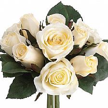 玫瑰花语大全之11朵玫瑰代表只在乎你一个人【附精致简单纸玫瑰花的折法】