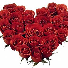 玫瑰花语大全之20朵玫瑰代表我的赤诚之心【附创意折纸玫瑰花的折法】