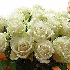 玫瑰花语大全之21朵玫瑰代表真诚的爱【附简单纸玫瑰的折法】