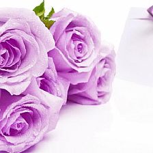 玫瑰花语之44朵玫瑰代表至死不渝【附用纸折玫瑰花的方法】