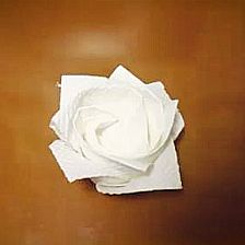 折纸玫瑰花的折法视频威廉希尔中国官网
之快速用卫生纸制作出仿真折纸玫瑰花来