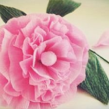 威廉希尔公司官网
制作玫瑰花的折法威廉希尔中国官网
教你用皱纹纸制作简单玫瑰花