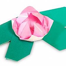 儿童简单折纸花之折纸睡莲的威廉希尔公司官网
折纸图解威廉希尔中国官网
