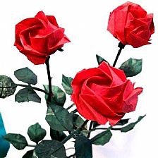 越狱玫瑰花的折法图解视频威廉希尔中国官网
教你精致折纸玫瑰花