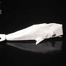 【海洋动物折纸大全】折纸抹香鲸威廉希尔公司官网
折纸图谱威廉希尔中国官网
