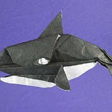 【海洋动物折纸大全】折纸虎鲸威廉希尔公司官网
折纸图谱威廉希尔中国官网
