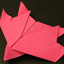 折纸飞机大全之展翼滑翔机鸟型折纸飞机威廉希尔公司官网
制作威廉希尔中国官网
