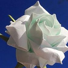 玫瑰花的折法大全之仿真折纸玫瑰花的威廉希尔公司官网
折纸视频威廉希尔中国官网
