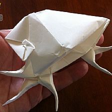 【海洋动物折纸大全】蝎螺威廉希尔公司官网
折纸图解威廉希尔中国官网
