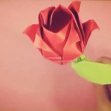 简单玫瑰花的折法视频—威廉希尔公司官网
折纸玫瑰花的简单折法大全