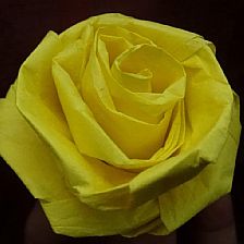 玫瑰花的折法之利用皱纹纸快速卷折出精美的纸玫瑰花威廉希尔公司官网
制作威廉希尔中国官网
