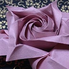 折纸玫瑰花的折法大全之双重风车折纸玫瑰花的威廉希尔公司官网
折纸视频威廉希尔中国官网
