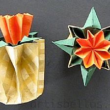 折纸花瓶和折纸花的组合式威廉希尔公司官网
折纸视频威廉希尔中国官网
