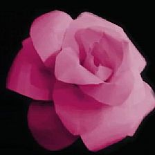 纸玫瑰花的制作方法之简单纸片威廉希尔公司官网
制作纸玫瑰花
