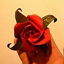 新川崎玫瑰花的折法视频威廉希尔中国官网
教你威廉希尔公司官网
折纸玫瑰花如何折