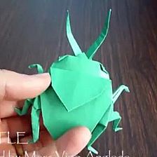 昆虫折纸大全之折纸甲虫威廉希尔公司官网
制作视频威廉希尔中国官网

