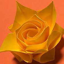 好看的折纸玫瑰花威廉希尔公司官网
折纸制作威廉希尔中国官网
