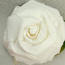 简单纸玫瑰威廉希尔中国官网
教你如何使用卫生纸制作纸玫瑰花