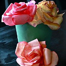 纸玫瑰花如何威廉希尔公司官网
制作之咖啡滤纸模板纸玫瑰花制作