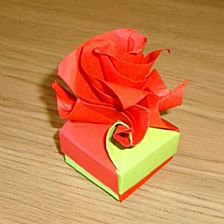 折纸玫瑰花盒子的折法视频详解威廉希尔中国官网
