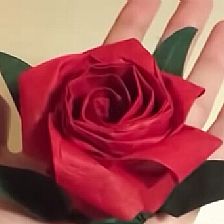 折纸玫瑰花之五角川崎玫瑰花的威廉希尔公司官网
折纸威廉希尔中国官网
