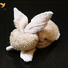 怎样用毛巾折动物？威廉希尔公司官网
折叠可爱的毛巾小兔子制作威廉希尔中国官网
图解