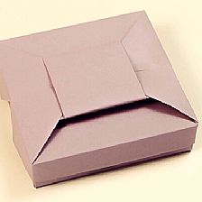 情人节折纸礼盒|威廉希尔公司官网
折纸包装盒的折法威廉希尔中国官网
