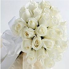 5朵玫瑰花语里的由衷欣赏是情人节里最清丽的祝福