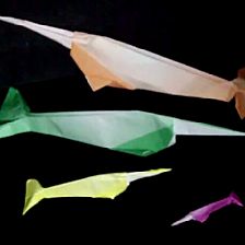 折纸独角鲸的折纸视频制作方法威廉希尔中国官网
