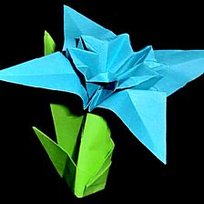 妇女节威廉希尔公司官网
礼物折纸花之火绒草的折纸视频威廉希尔中国官网
