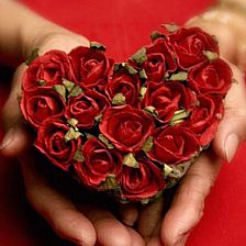 不适合在情人节那天赠送的15朵玫瑰花语