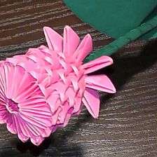 纸玫瑰折纸三角插玫瑰的折法视频威廉希尔中国官网
