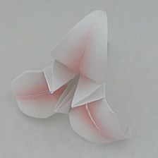 折纸花大全3瓣简单折纸花的折纸视频威廉希尔中国官网
