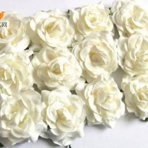 白色纸玫瑰花的精彩