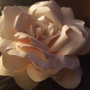 白色纸玫瑰花的大气与典雅