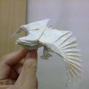 形象逼真的折纸老鹰---一个关于翱翔的梦