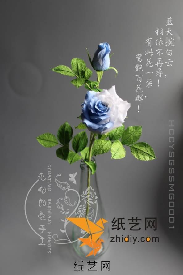 【中秋活动】天空玫瑰